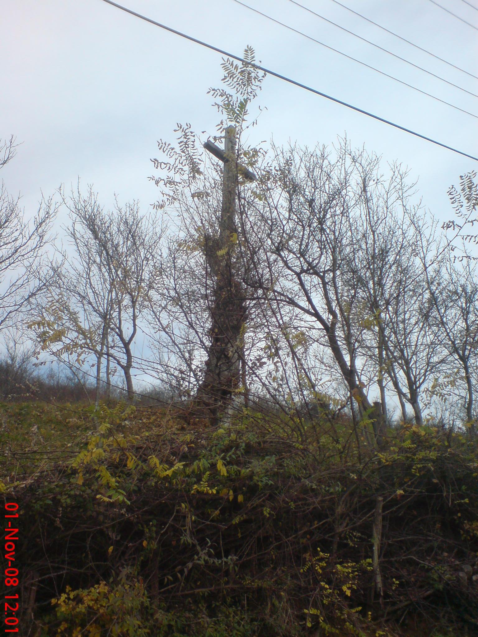 Semn divin sau pura intamplare?