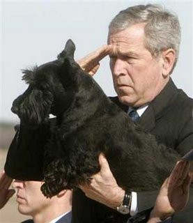 Portret: George Bush - Bufonul