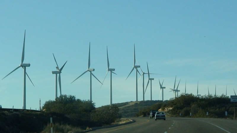 Ecologia salveaza Romania!