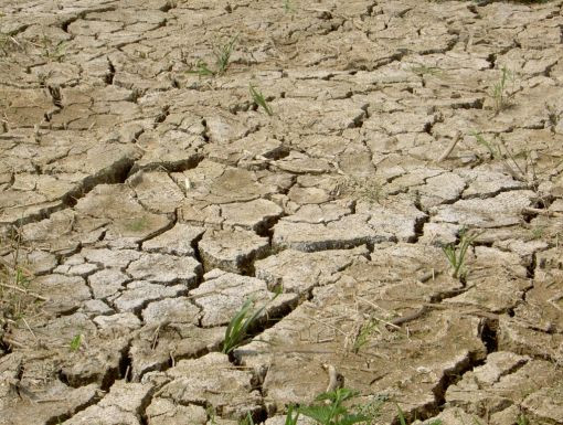 Se crapa pamanturile! Seceta pune stapanire pe Romania!