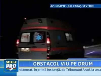 In Caransebes,un cal a bagat in spital trei oameni