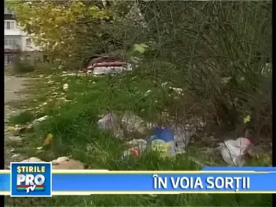 Bolnava si abandonata de familie, o femeie din Arad doarme sub cerul liber!