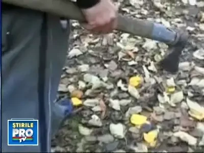 Doi frati beti au facut ingrozit o comuna din Botosani