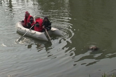 Cadavrul unei femei a fost descoperit intr-un rau din Bihor