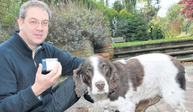 Catel salvat de la moarte cu Viagra!