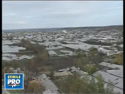 19legumematcabeta091108