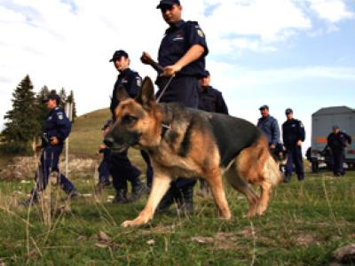 Disperare pentru parinti. O fata de 13 ani a disparut de 10 zile de acasa