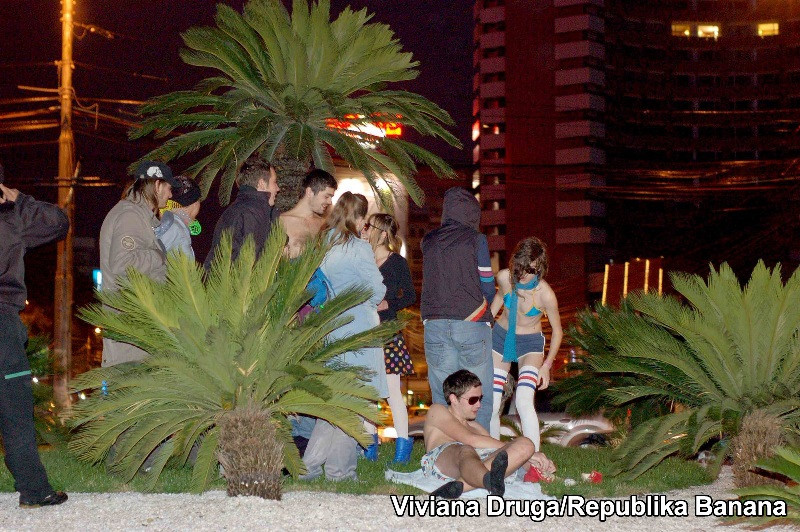 Republika Banana cu sediul la Universitate, sub palmieri