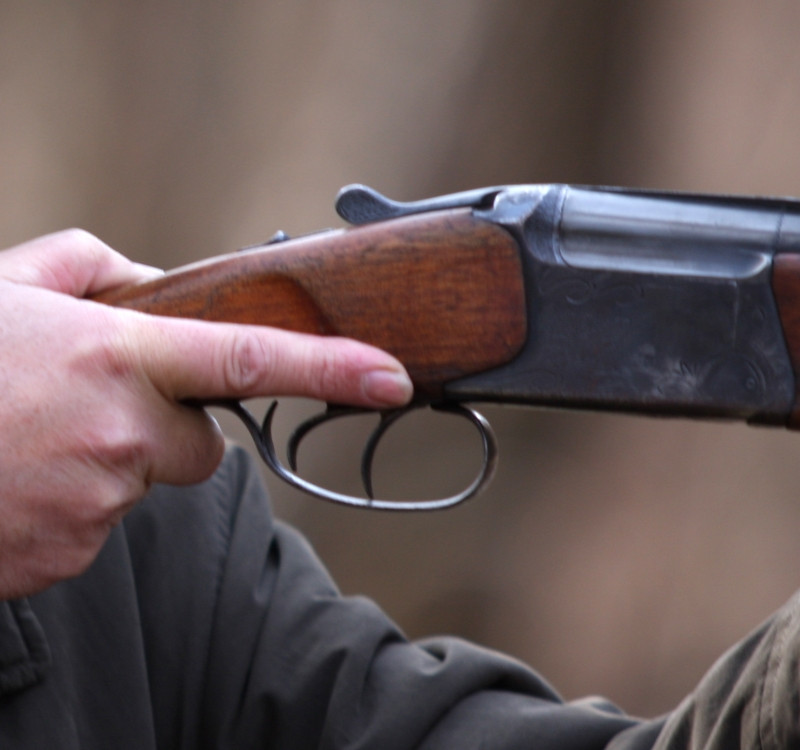 Impuscat de tatal sau, din greseala!