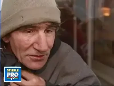 La subrat cu palmieru'! Hotii au prins "drag" de plantele exotice