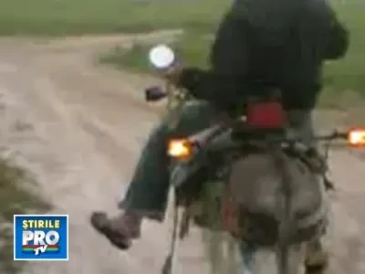 Magarul tunat revolutioneaza piata auto mondiala