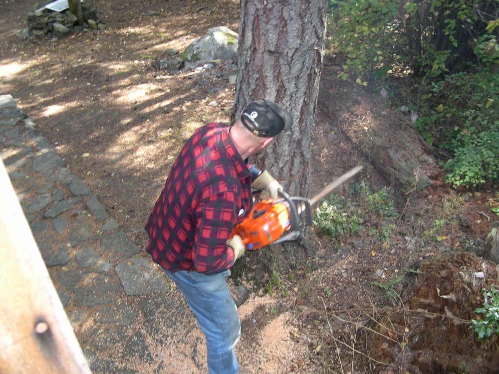 A murit dupa ce un vecin l-a taiat din greseala cu drujba!