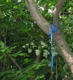 Ucis de propria gluma! A vrut sa isi pacaleasca sora ca se spanzura!