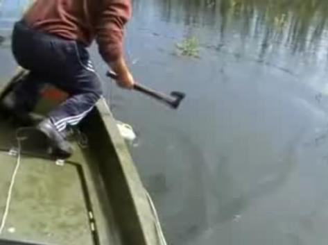 Pescuitul, transformat in macel in Delta Dunarii