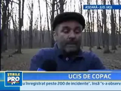 Sfarsit tragic pentru un taietor de lemne dintr-o comuna ieseana!