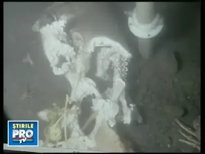 S-a gasit un picior de om. Tu ce crezi ca s-a intamplat?