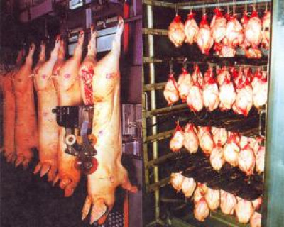 Alerta in tarile din UE: carnea de porc ar putea fi contaminata cu dioxina!