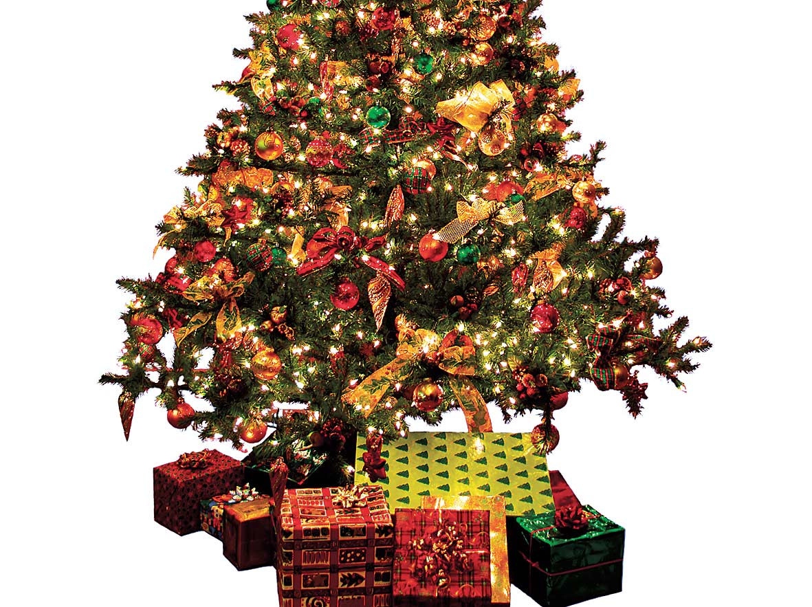 N-ai timp sa-ti impodobesti bradul? S-au inventat firme si pentru asta