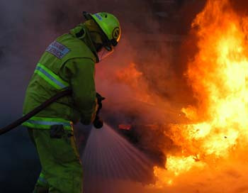 Incendiu devastator la o ferma din Dolj. 30 de vaci au ars de vii
