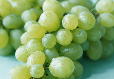 Strugurii romanesti, distrusi de ploile torentiale urmate de canicula