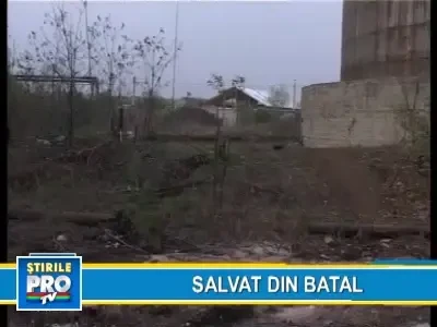 Ploiesti: cal salvat dintr-o groapa cu reziduuri petroliere