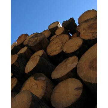 DN 1, blocat in judetul Alba de o remorca rasturnata