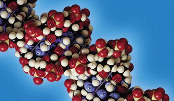 Vezi aici ce "zestre" genetica ii poti lasa copilului tau