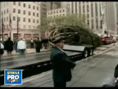 Vezi aici cum arata bradul care va fi luminat in New York!