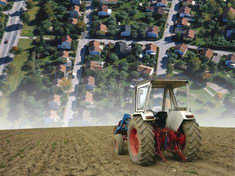 Chinezii buni la toate. Isi deschid afaceri in Romania in plina criza