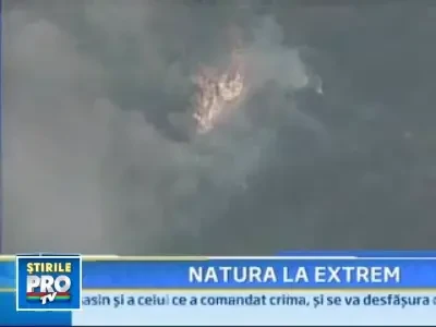 Pompierii au reusit sa domoleasca incendiile care au devastat California