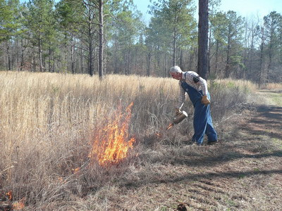 Bihor: Hectare intregi de miriste in flacari!