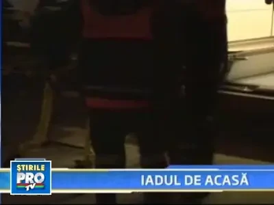 Dupa parjolul din Neamt, patru copii sunt tinuti in viata doar de aparate