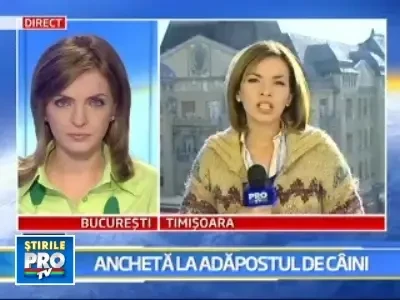 Adapostul cainilor canibali sub lupa autoritatilor! S-au dat primele amenzi