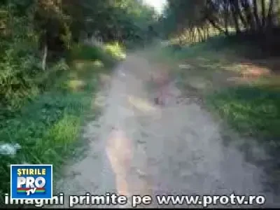 Este cruzimea fata de animale pedepsita pe masura?