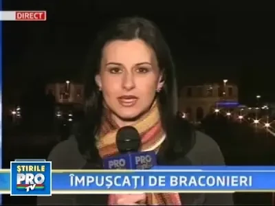 Macel intr-o padure din Arad: noua cerbi, ucisi de braconieri!