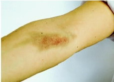 Au luat ceva la bord si au facut circ pe strazi!