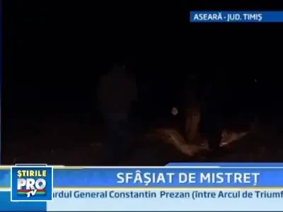 Tragedie in Timis! Si-a gasit sfarsitul in coltii unui porc mistret