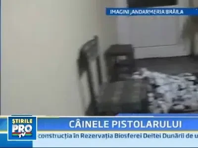 A tras cu pistolul in mijlocul orasului ca sa-si apere cainele!