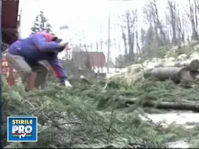 La munte, pregatirile de sarbatori intra pe ultima suta de metri!