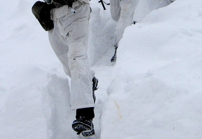 De negasit! Pierdut in munti, dupa ce a plecat sa caute un brad