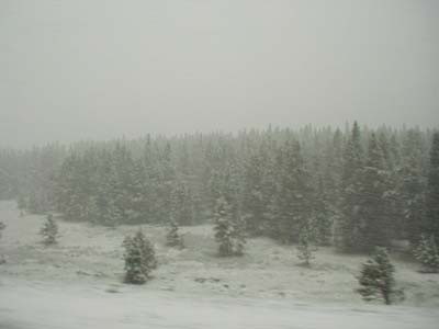 Doua localitati din Bistrita-Nasaud, fara electricitate din cauza zapezii