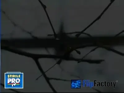 Uniti cu forta pe vecie! Sinucigasul si sotia lui, ingropati impreuna