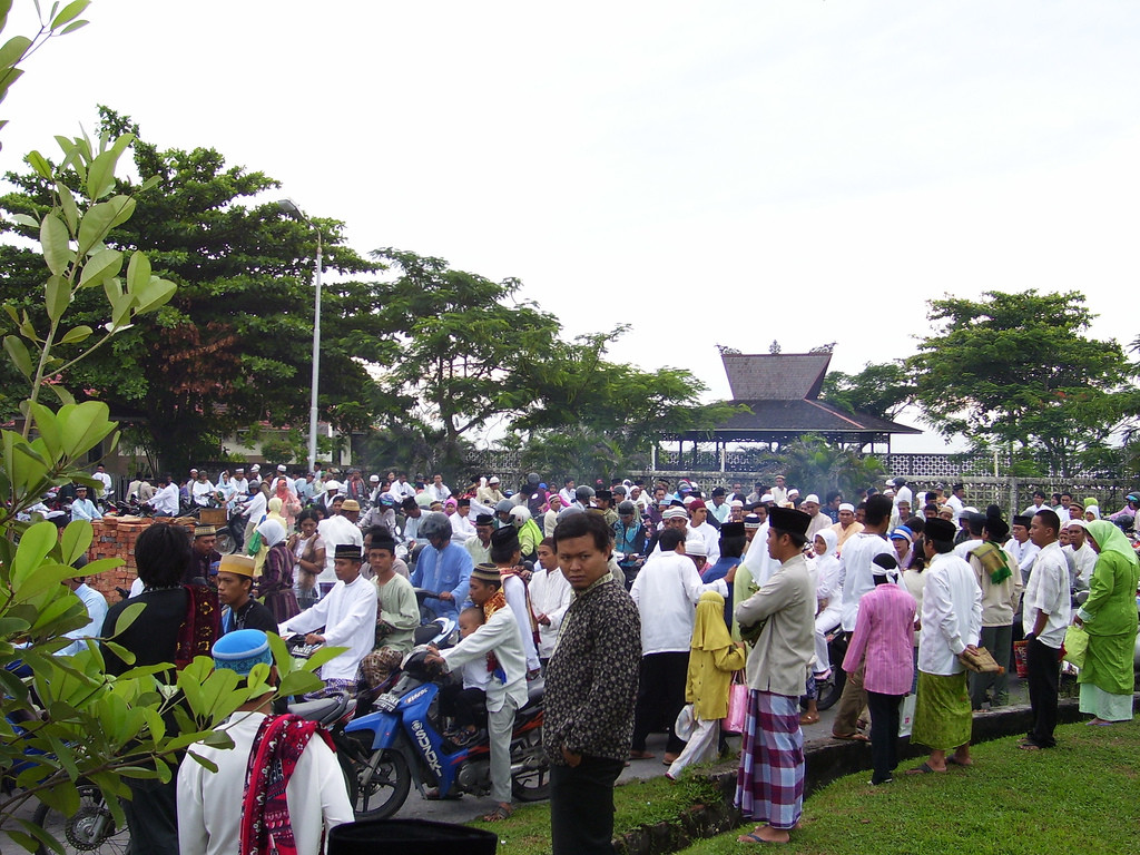 Regula de aur in Indonezia: nu te poti casatori pana nu plantezi un copac!