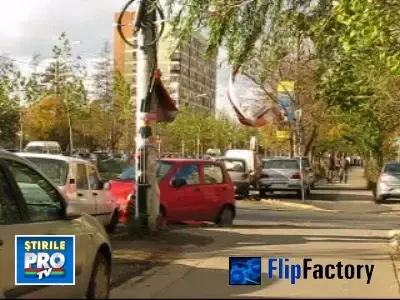 Bate vantu' frunza-n dunga!