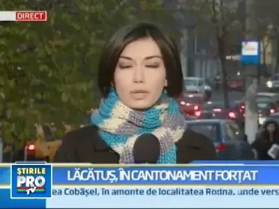 Fiara a avut probleme digestive! A fost externat de la spital