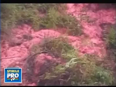 64 de morti in inundatiile din Brazilia