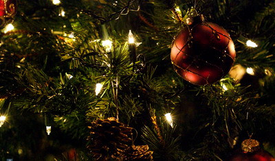 Vezi aici noile tendinte in materie de brazi de Craciun!