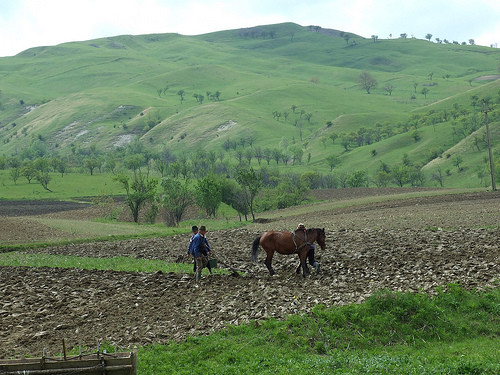 Vesti bune pentru fermieri! Vor putea deconta de la stat 40% din investitii