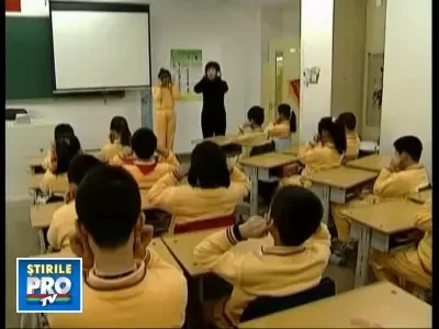 13copiicalculatorbeta261108