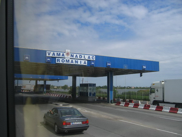 Alerta biologica in vami: florile aduse din Olanda sunt periculoase. Inca nu se stie de ce